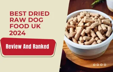 8 Best Dried Raw Dog Food UK 2024: Review & Ranked